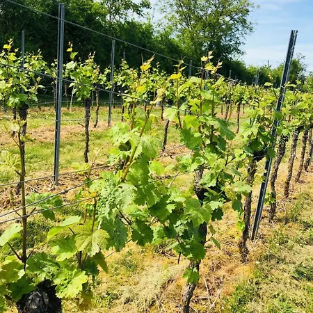 Feldmann Apartment Freckenfeld